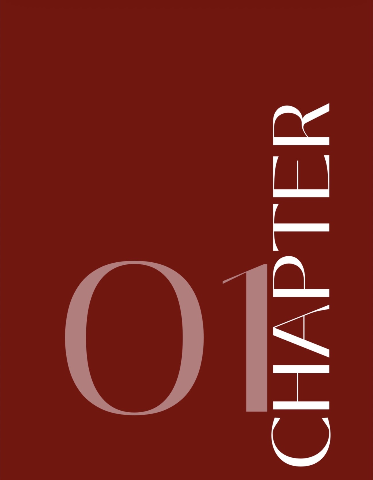 Burgundy Chapter 01 opening page from The Self guide